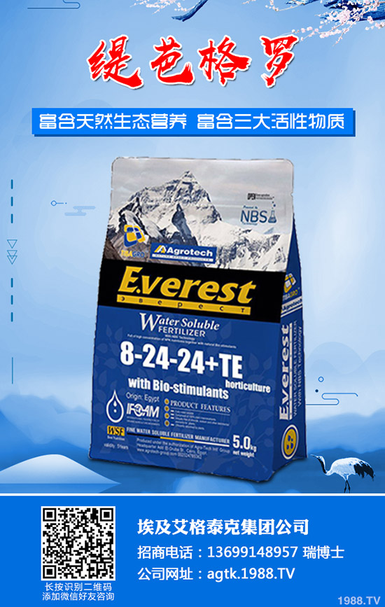 ����ʲô�r�g�������������緽��