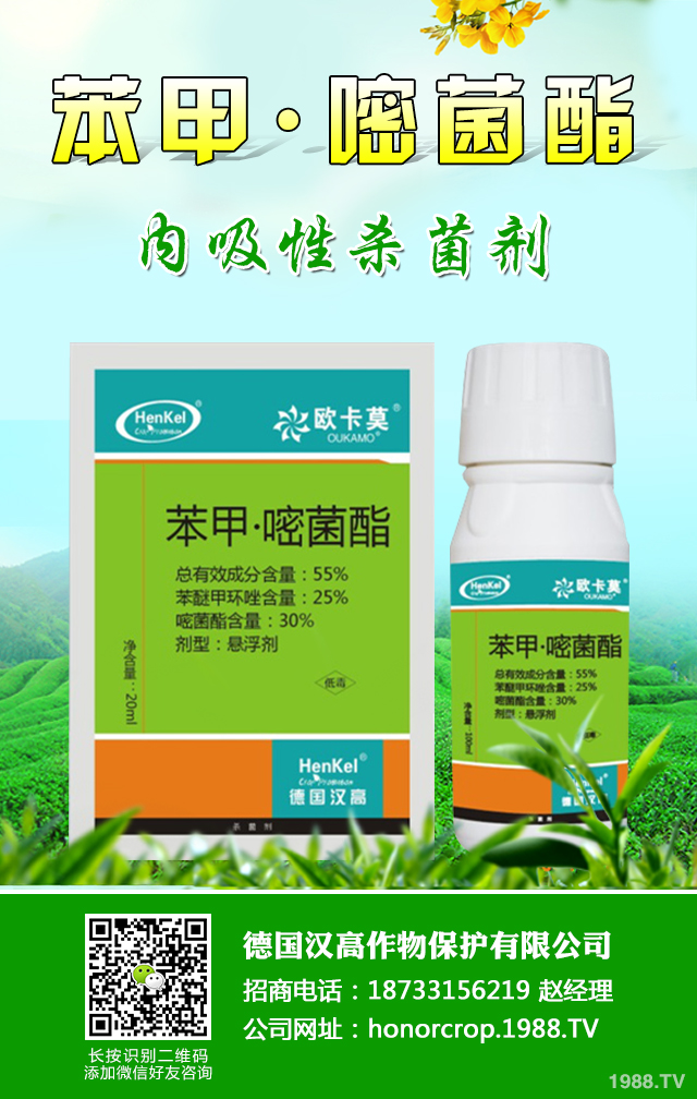 芋頭病蟲害怎么辦？芋頭病蟲害防治好方法