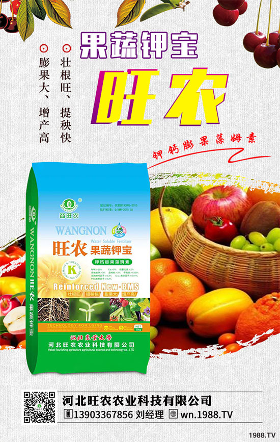 茄子育苗的種植時(shí)間,茄子育苗的栽培管理要點(diǎn)有哪些?