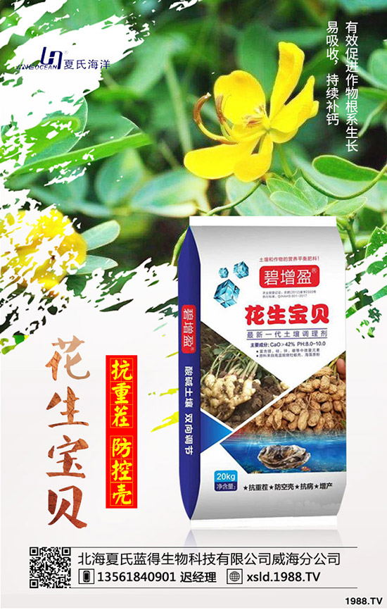 ���{(l��n)���Nǰ����������{(l��n)���߮a(ch��n)�NֲҪ�c(di��n)��