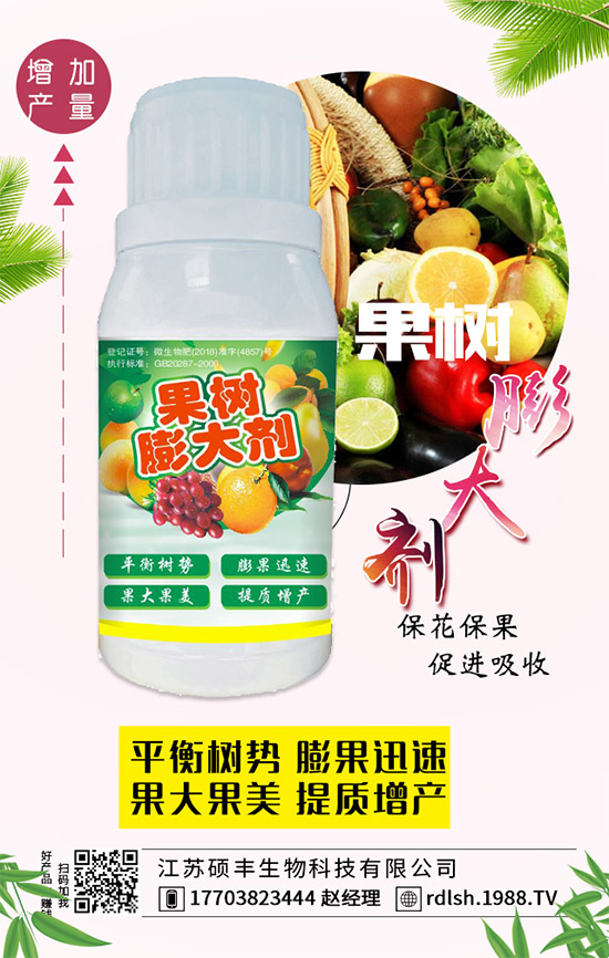 ��ľ���Ĺ�Ч�c��������ľ�����ʳ��������Щ��