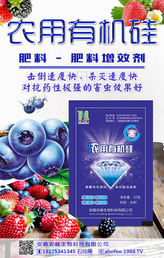 枸杞得了炭疽病怎么辦？枸杞炭疽病危害及防治方法！