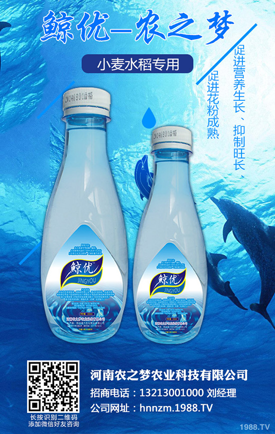 �۲˰߿ݲ�����ЩΣ����ԓ��η��Σ��۲˰߿ݲ��İl(f��)���c����