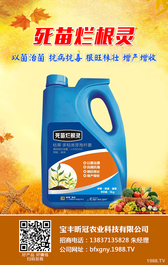 ���S꿹��r�I(y��)�Ƽ����޹�˾-(2)