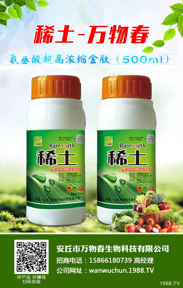 大蔥種植怎么管理？秋季大蔥管理好方法