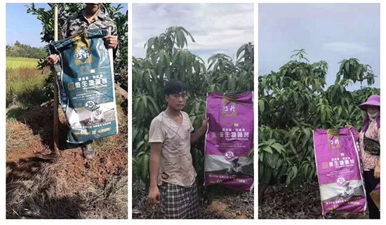 ��΢�������+�ЙC(j��)�ʡ�Ч��ţ����ʩһ������飬ʡ���ָ߮a(ch��n)��