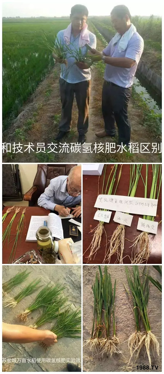 上百家媒體報道，打造超過歐盟食品標(biāo)準(zhǔn)作物！碳?xì)浜朔示褪沁@么火爆！