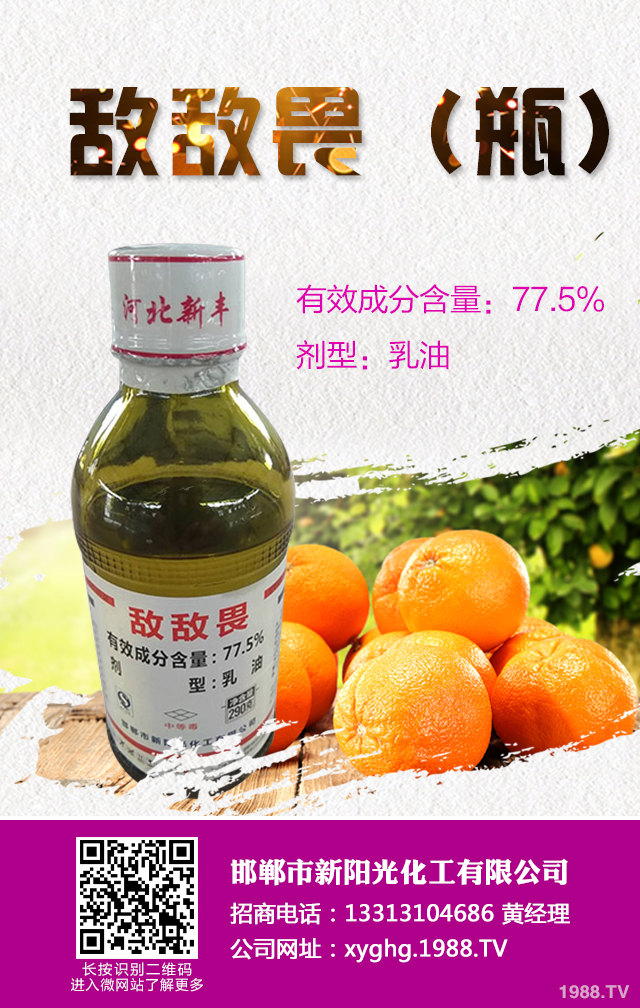 �������x(ch��ng)�ݺ���ô�k���������x(ch��ng)�ݺ��������g(sh��)