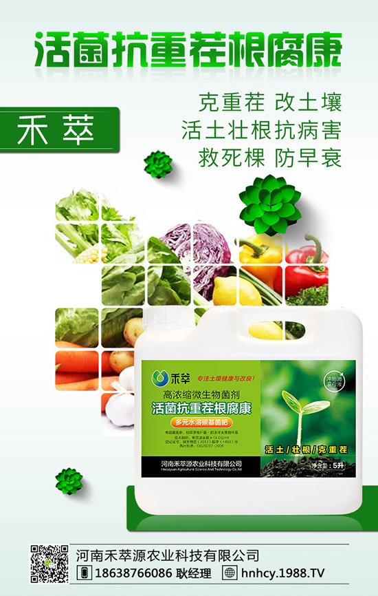 三角梅怎么嫁接?三角梅嫁接方法!