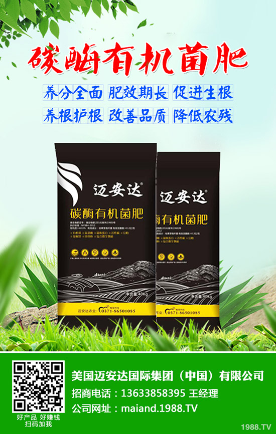 土豆什么時候種，土豆播種應注意哪些問題？