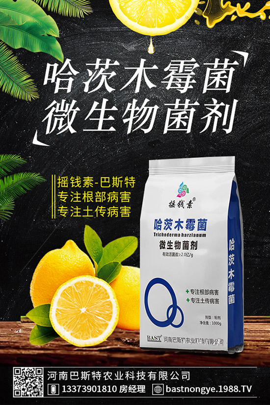 虎皮蘭爛根怎么辦,虎皮蘭爛根的防治措施!