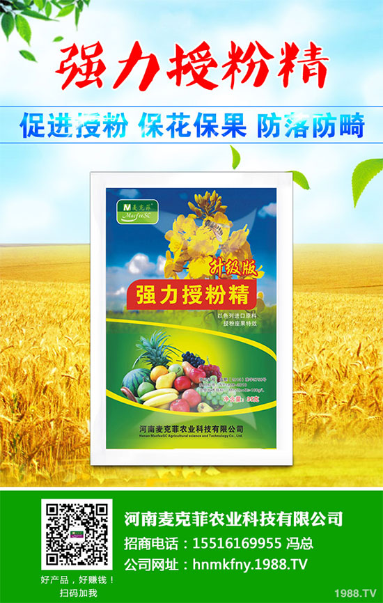 芥菜有哪些營養(yǎng)價值?吃芥菜有哪些好處?芥菜的功效與作用