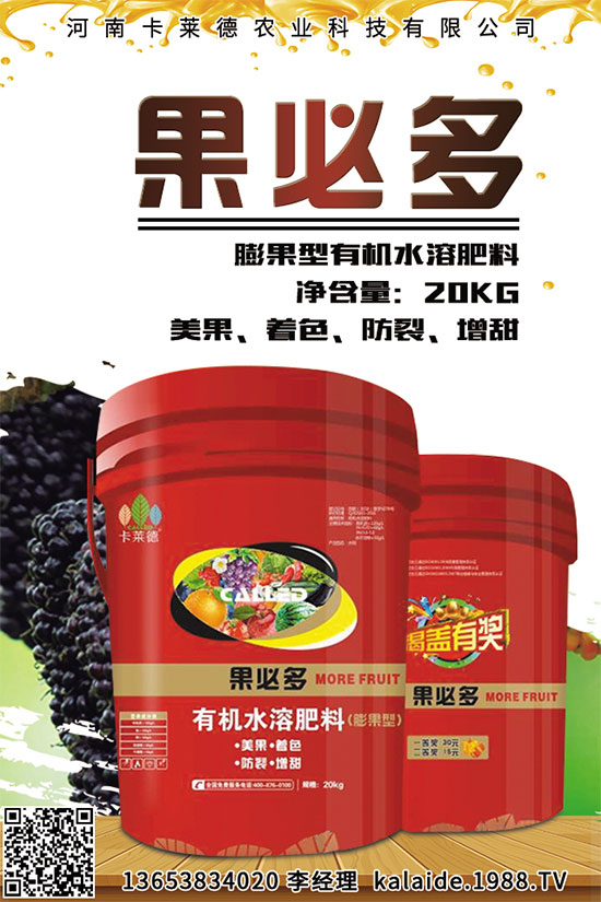 芥菜該怎么吃？常見芥菜吃法及注意事項