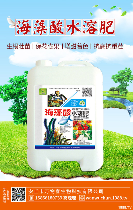 蘆薈多久澆一次水？蘆薈澆水注意事項！