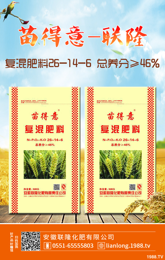 С����ô����Ч������С�����������g����