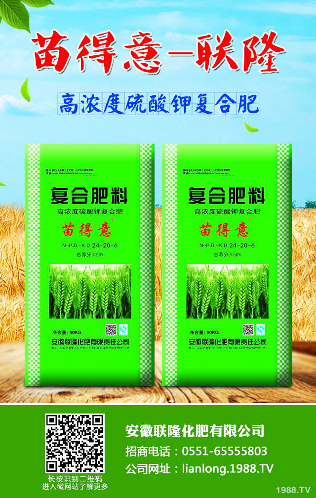 С����ô����Ч������С�����������g����