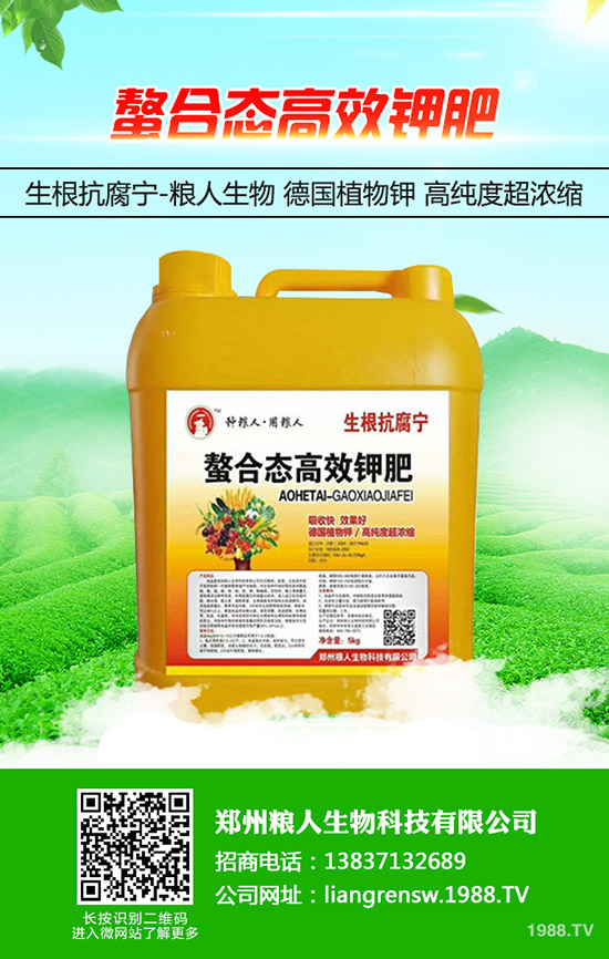 ���y�����ʩ�ʣ����y���߮a(ch��n)ʩ��Ҫ�c(di��n)��