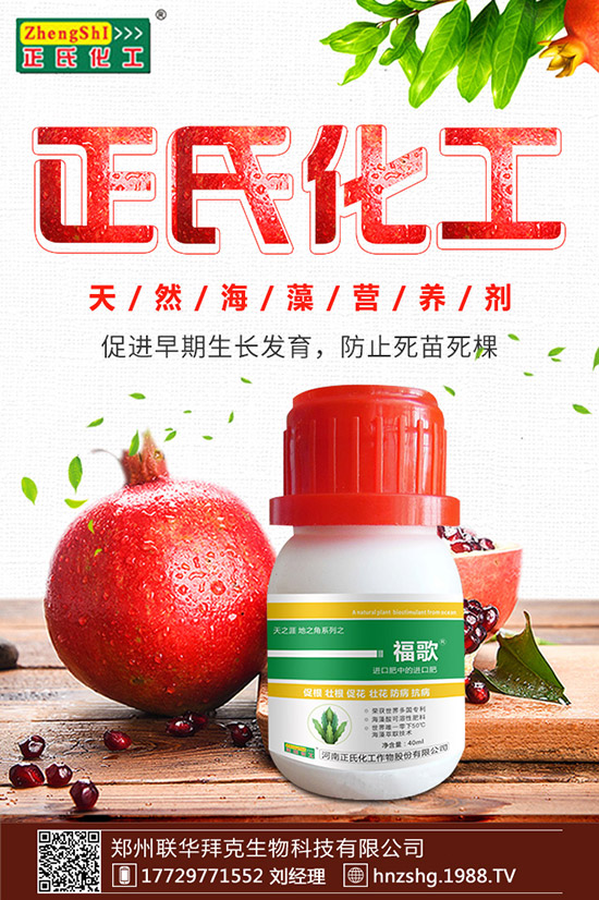 ���y����ʲô���ã����y���Ĺ�Ч�cʳ�ý�����