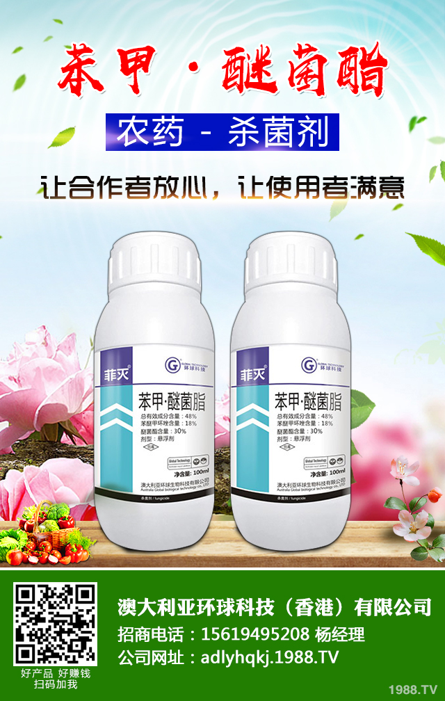 荔枝爛果怎么辦？荔枝爛果四點(diǎn)防治技巧