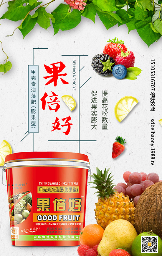 ʥŮ��ʲô�r(sh��)�g�Nֲ��ʥŮ���Nֲ���g(sh��)Ҫ�c(di��n)����Щ��