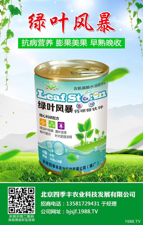 ����ʲô�r(sh��)��Nֲ�ã����ϵķNֲ�r(sh��)�g�ͷ�����