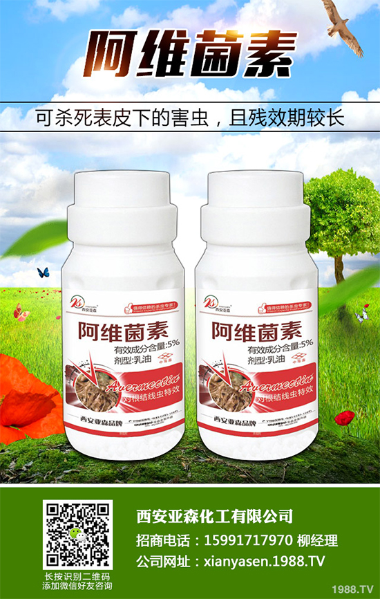 ��ë�x(ch��ng)���x(ch��ng)���r(ji��)��