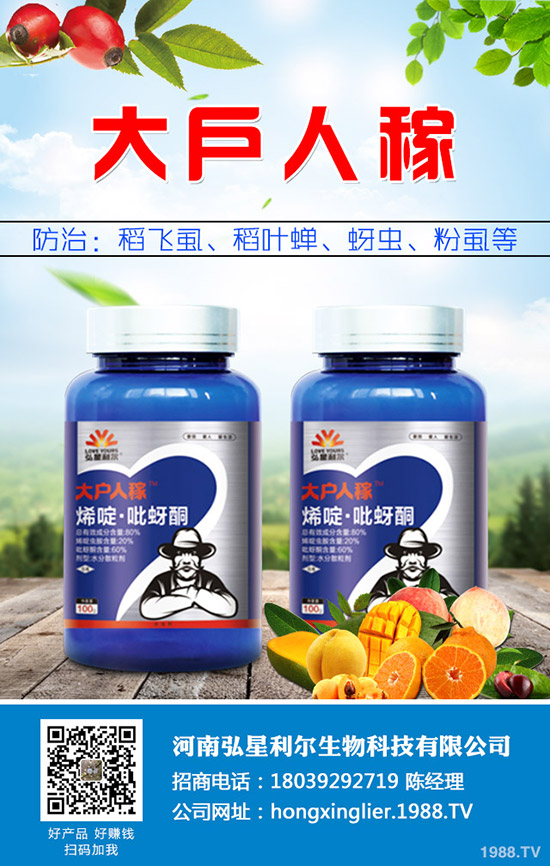 ���[�Nֲ��Ҫ��ô���������[�Nֲ�������g(sh��)Ҫ�c(di��n)��