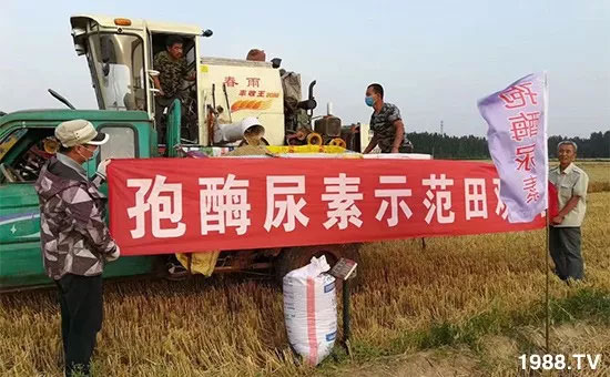 �ٿ���С�����a(ch��n)1471��pø����ȫ�����������߮a(ch��n)������֮�o����