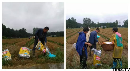 �ٿ���С�����a(ch��n)1471��pø����ȫ�����������߮a(ch��n)������֮�o����