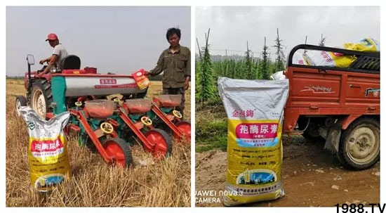 �ٿ���С�����a(ch��n)1471�����pø����ȫ�����������߮a(ch��n)������֮�o����