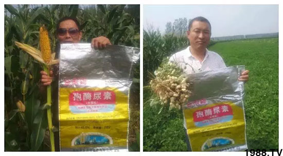 �ٿ���С�����a(ch��n)1471�����pø����ȫ�����������߮a(ch��n)������֮�o����