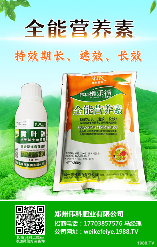 柿子樹怎么嫁接，柿子樹嫁接時(shí)間和方法！