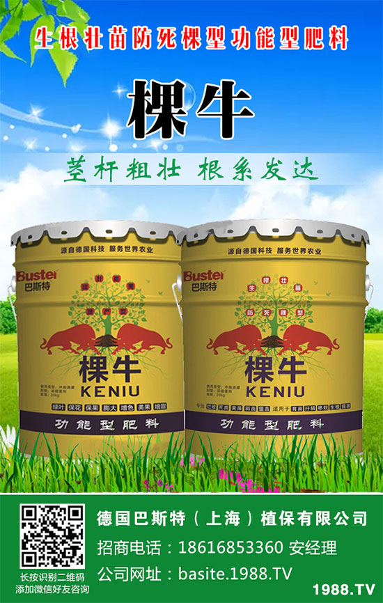 ���[���ʩ�������[�ƌW(xu��)������ʩ�ʷ�����