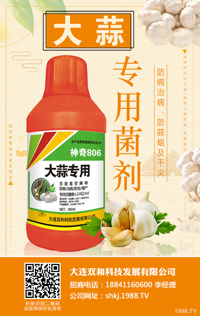 �����ز粡����η����������ز粡�����μ���