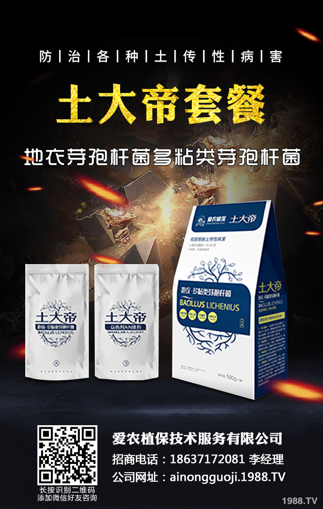 �ﲥС����ô����|(zh��)�����ﲥС������|(zh��)����Ҫ�c