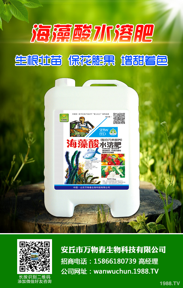 �ﲥС����ô����|(zh��)�����ﲥС������|(zh��)����Ҫ�c