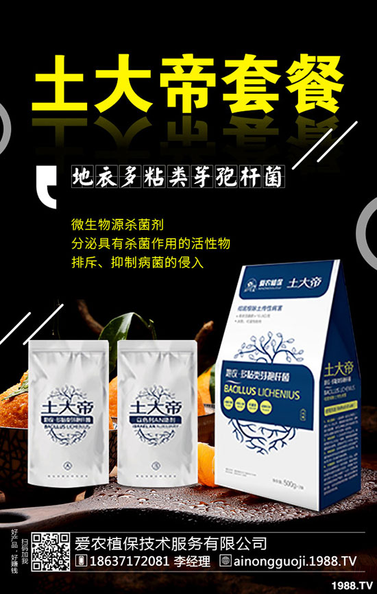 九月份可以種什么蔬菜?2019年9月蔬菜種植指南!