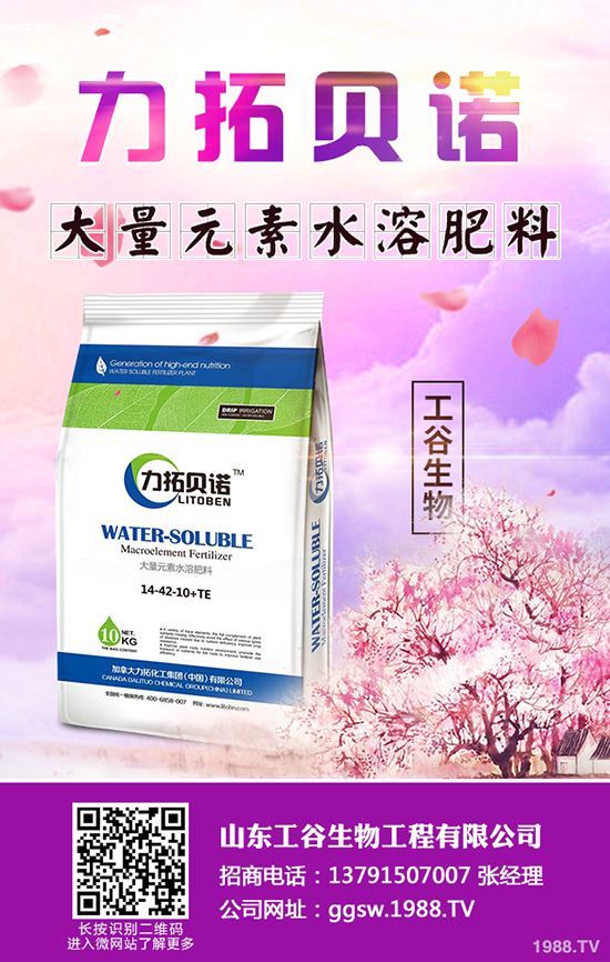 �ﶬ��С�Ͳ���ηNֲ���ﶬ��С�Ͳ˷Nֲ���g(sh��)�����g����������