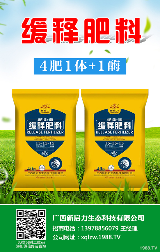 秋甘藍該怎么種植?秋甘藍高產種植技術