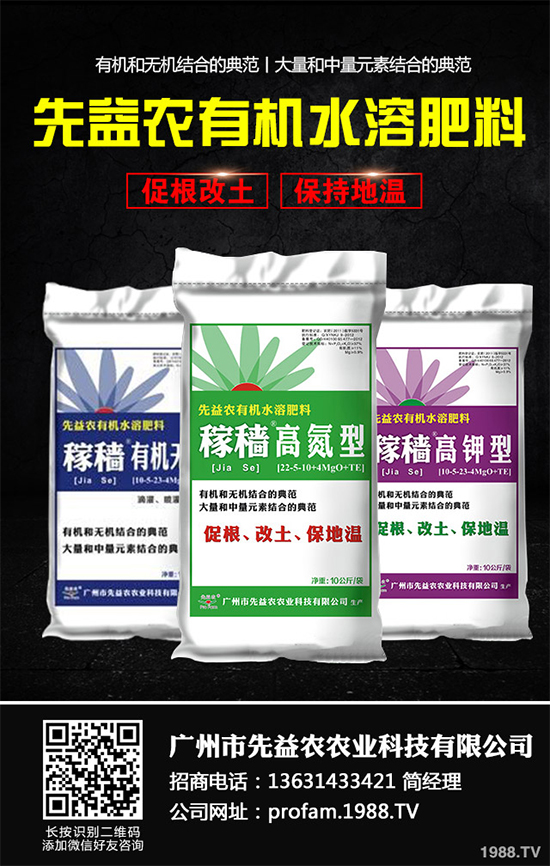 秋甘藍該怎么種植?秋甘藍高產種植技術
