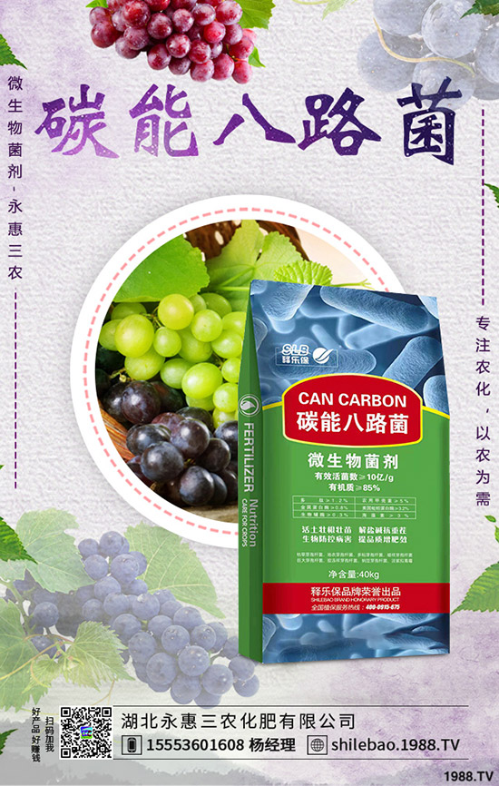     2019-9-7����⛷ʃr(ji��)������ӑB(t��i)�u���������Xһ����