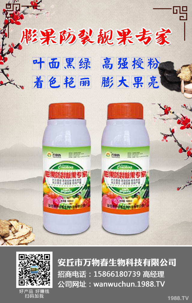 ����A(y��)����ݮ��������ݮ���η��μ���