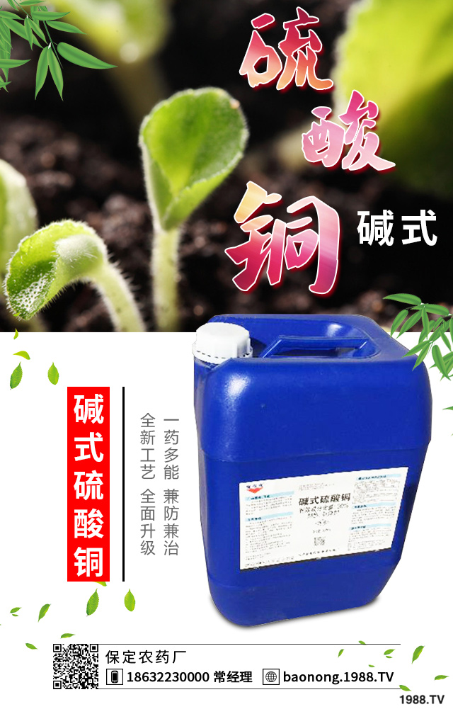 如何巧治蘇鐵葉斑??？蘇鐵葉斑病防治技巧