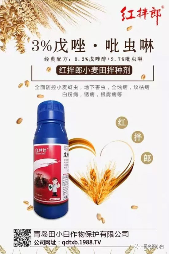 小麥拌種劑選哪個(gè)好？小麥拌種劑選用技巧