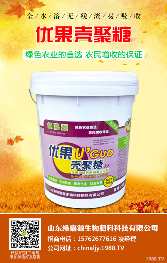 影響水稻分蘗的因素有哪些?如何提高水稻分蘗?