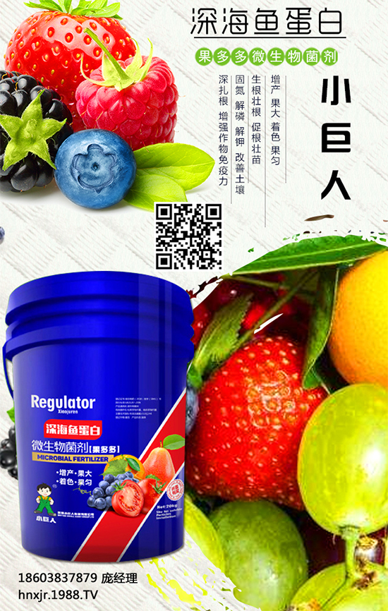 紅薯怎么種植?紅薯種植的高產(chǎn)管理要點(diǎn)