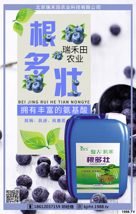 西紅柿什么時間種植，西紅柿種植技巧