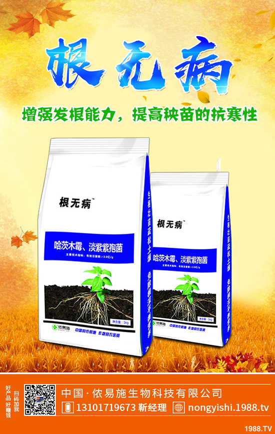     ��������[�����[�Nֲٍ�X�᣿��Ҋ�{(di��o)ζ���߲˷Nֲ����������