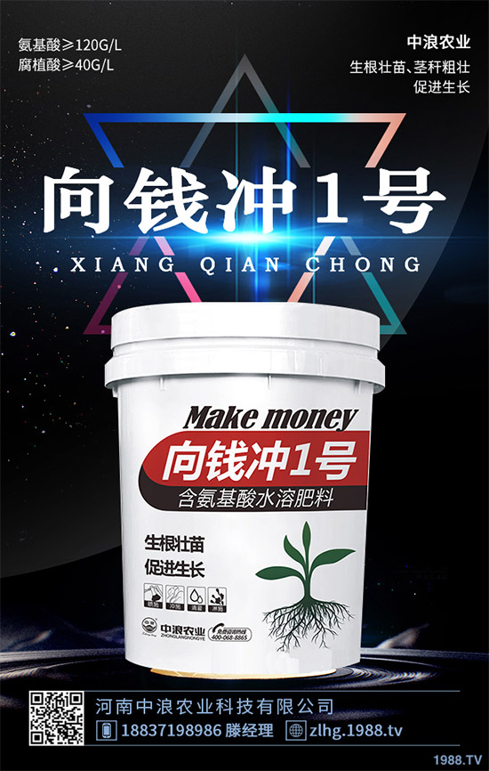 露地卷心菜什么時候種植?露地卷心菜種植技術大全