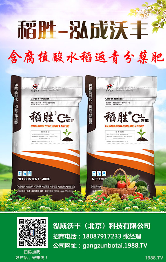     2019��9��7������������@�r�������߄ݷ����������A(y��)�y